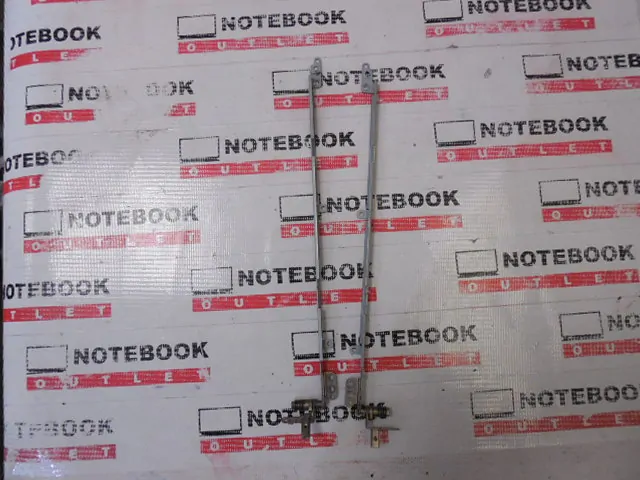 Panty L+P - ASUS M50V