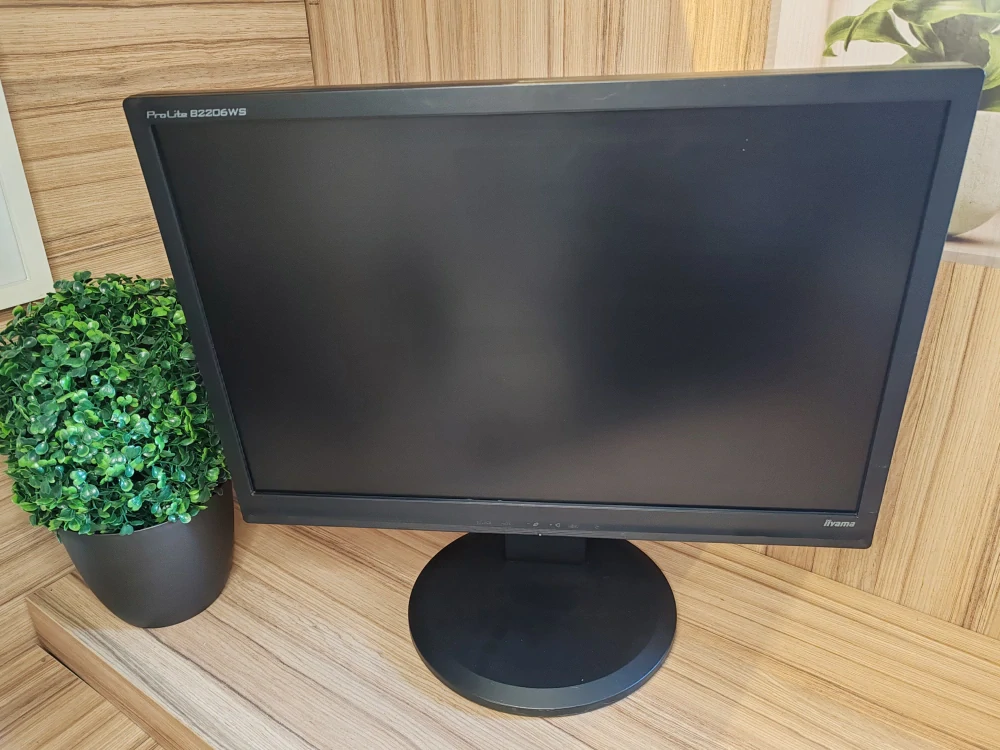 Monitor 22" iiyama ProLite B2206WS černý